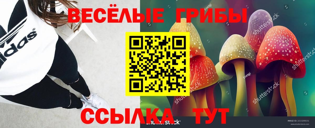 Избербаш  Галлюциногенные грибы прущие грибы  Вход с VPN 